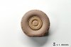 E.T. Model P35-164 Italian Centauro B1 Tank Destroyer Sagged Wheels 1/35